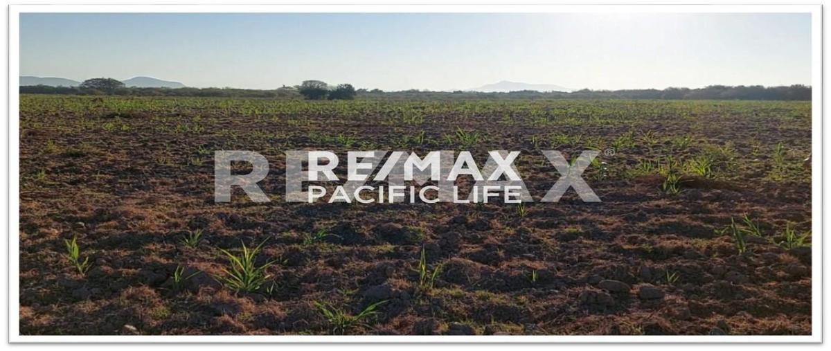 Foto de terreno comercial en el walamo , villa unión centro, mazatlán, sinaloa, 0 foto 04 Foto de terreno comercial en venta en el walamo , villa unión centro, mazatlán, sinaloa, 0 No. 04