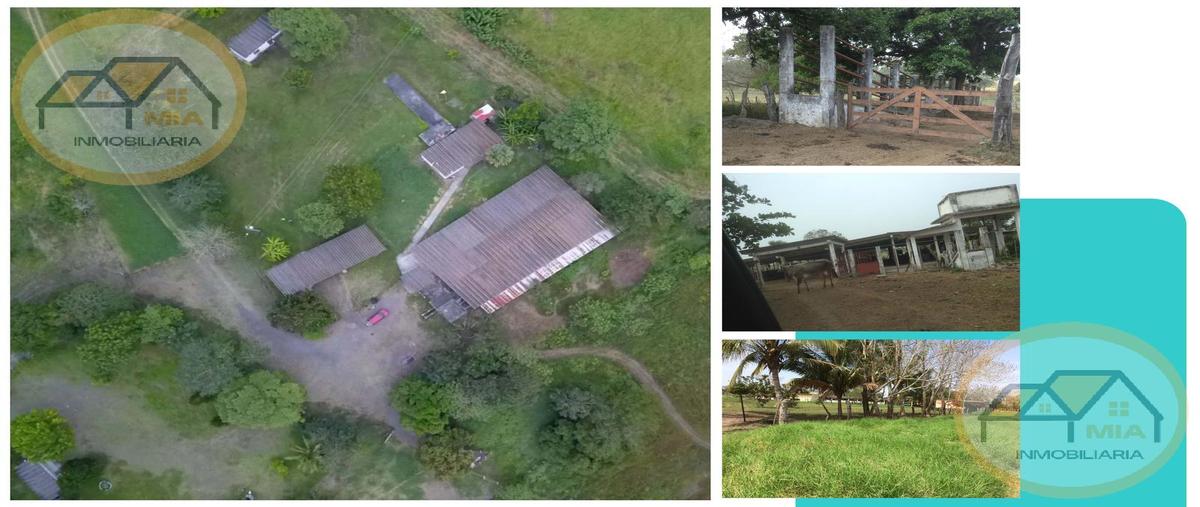Foto de rancho en , el zacatal, jamapa, veracruz de ignacio de la llave, 30610255 foto 01 Foto de rancho en venta en , el zacatal, jamapa, veracruz de ignacio de la llave, 30610255 No. 01