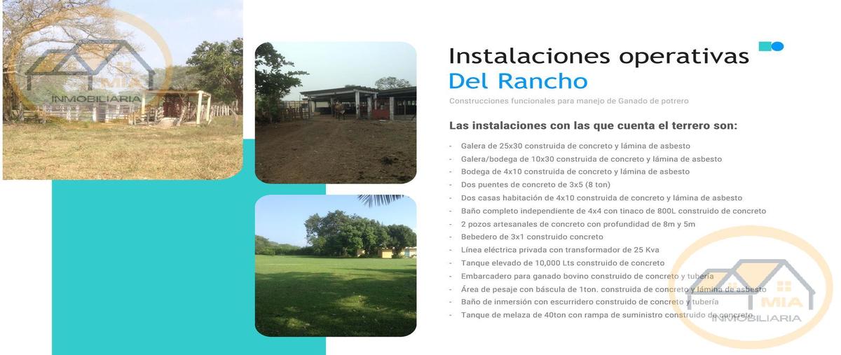 Foto de rancho en , el zacatal, jamapa, veracruz de ignacio de la llave, 30610255 foto 03 Foto de rancho en venta en , el zacatal, jamapa, veracruz de ignacio de la llave, 30610255 No. 03