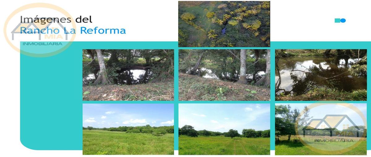 Foto de rancho en , el zacatal, jamapa, veracruz de ignacio de la llave, 30610255 foto 04 Foto de rancho en venta en , el zacatal, jamapa, veracruz de ignacio de la llave, 30610255 No. 04