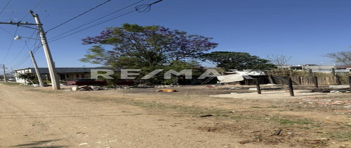 Foto de terreno habitacional en venta en el zapotal , santiago suchilquitongo centro, santiago suchilquitongo, oaxaca, 0 No. 04