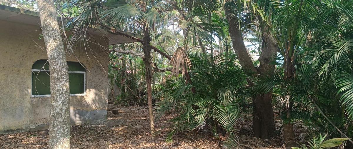 Foto de terreno habitacional en venta en  , el zapote, alvarado, veracruz de ignacio de la llave, 0 No. 04