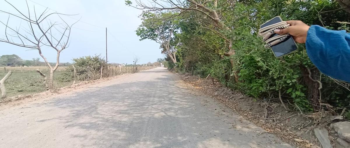 Foto de terreno habitacional en venta en  , el zapote, alvarado, veracruz de ignacio de la llave, 0 No. 05