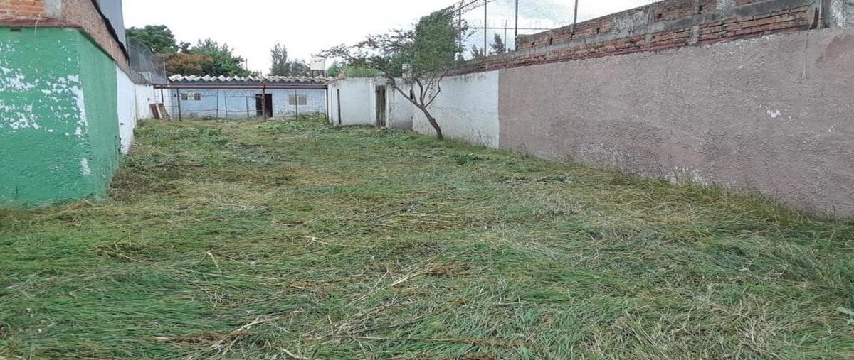 Foto de terreno habitacional en venta en  , el zapote del valle, tlajomulco de zúñiga, jalisco, 27728089 No. 05