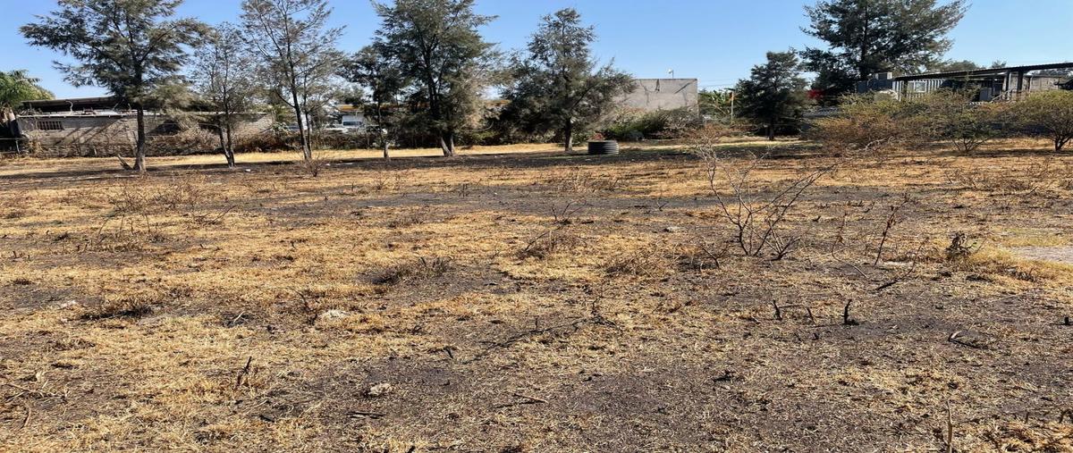 Foto de terreno habitacional en renta en  , el zapote del valle, tlajomulco de zúñiga, jalisco, 0 No. 02