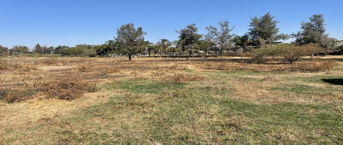 Foto de terreno habitacional en renta en  , el zapote del valle, tlajomulco de zúñiga, jalisco, 0 No. 03