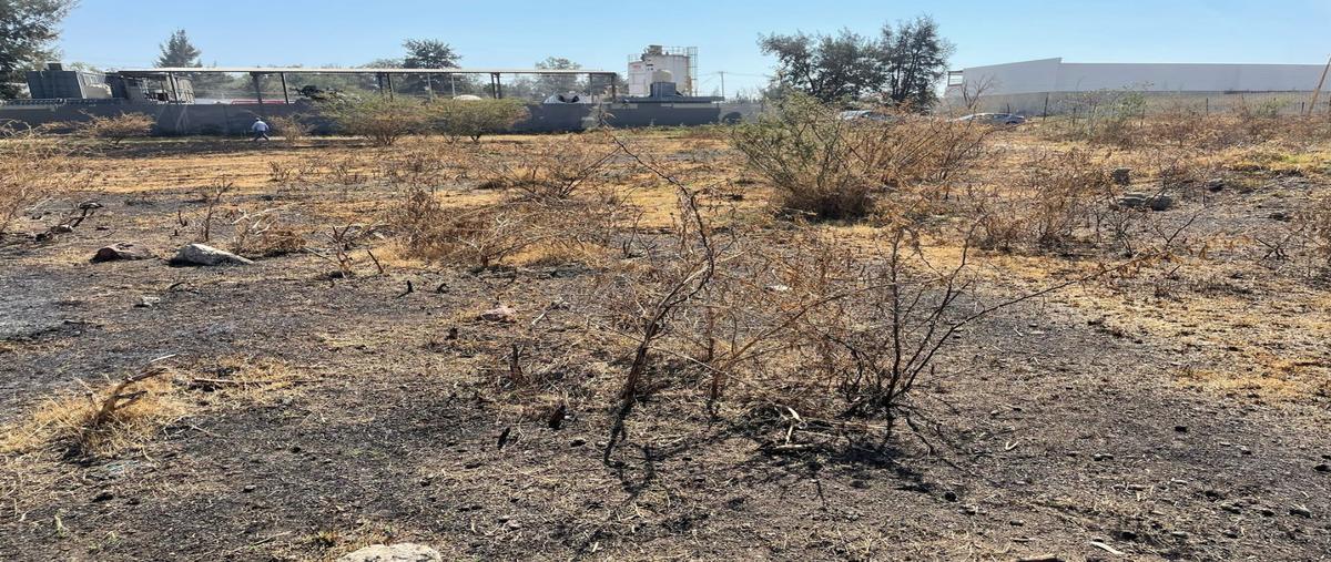 Foto de terreno habitacional en renta en  , el zapote del valle, tlajomulco de zúñiga, jalisco, 0 No. 04