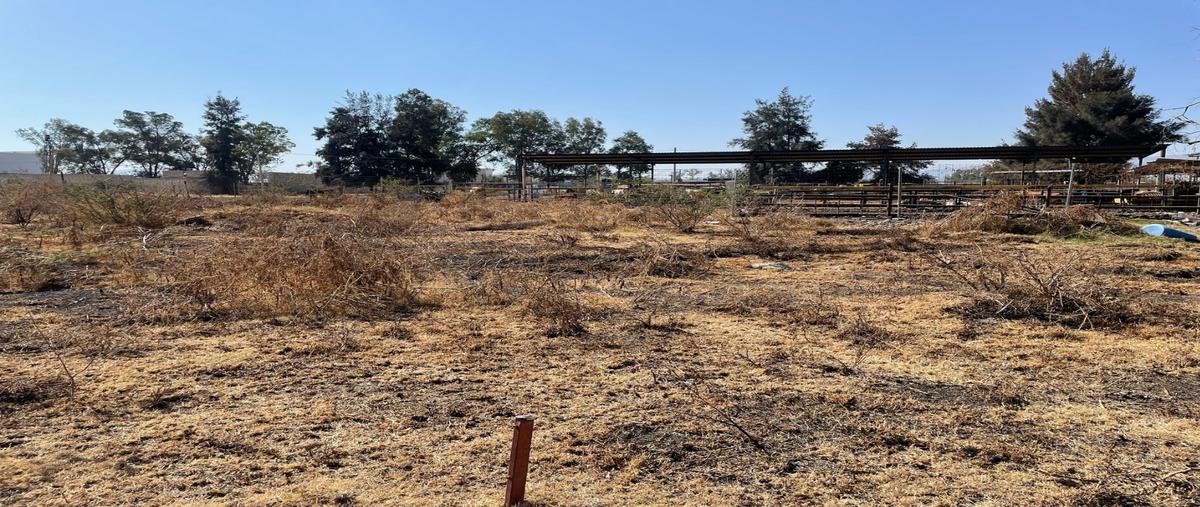 Foto de terreno habitacional en renta en  , el zapote del valle, tlajomulco de zúñiga, jalisco, 0 No. 05