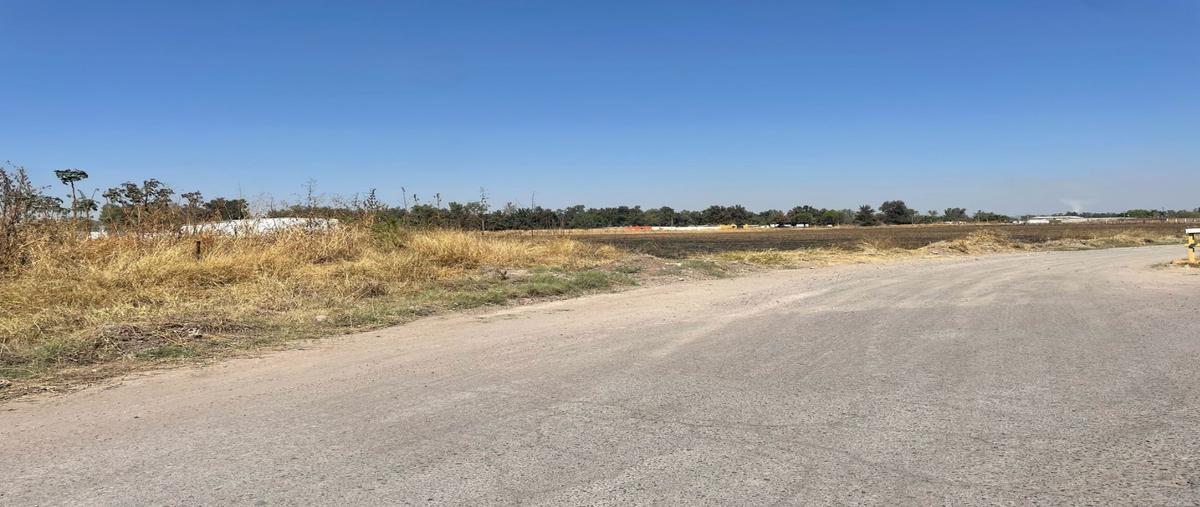 Foto de terreno habitacional en renta en  , el zapote del valle, tlajomulco de zúñiga, jalisco, 0 No. 02