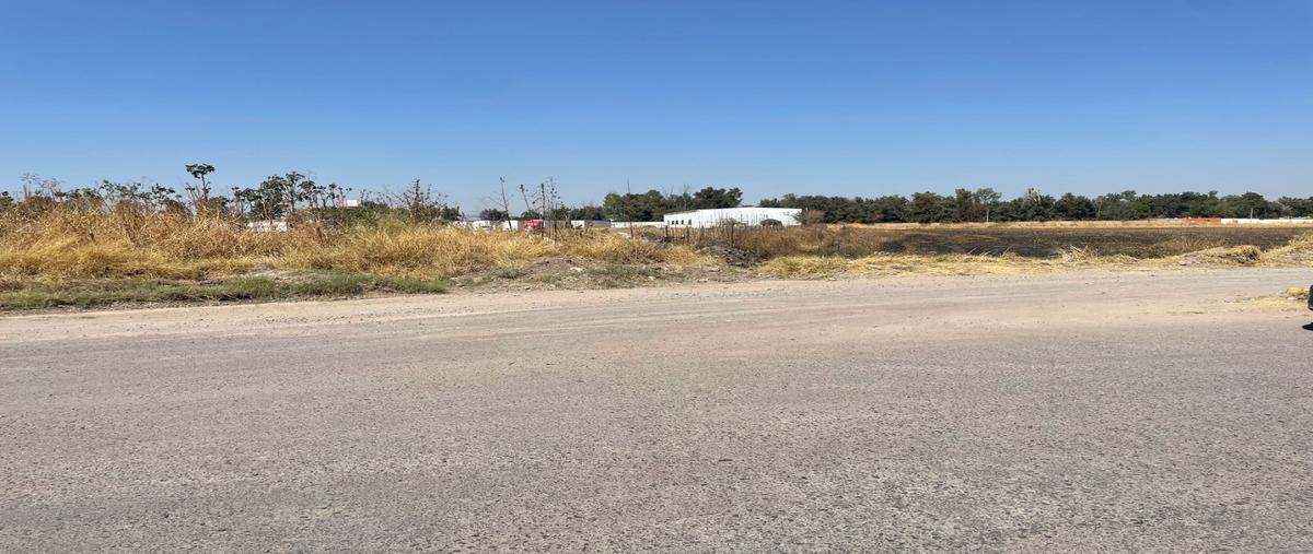 Foto de terreno habitacional en renta en  , el zapote del valle, tlajomulco de zúñiga, jalisco, 0 No. 03