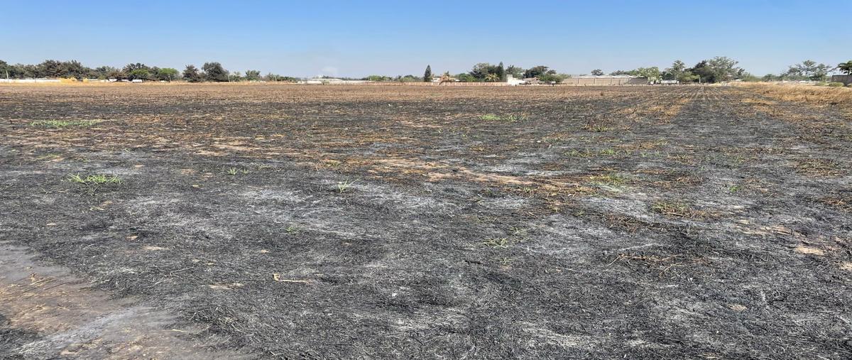 Foto de terreno habitacional en renta en  , el zapote del valle, tlajomulco de zúñiga, jalisco, 0 No. 04