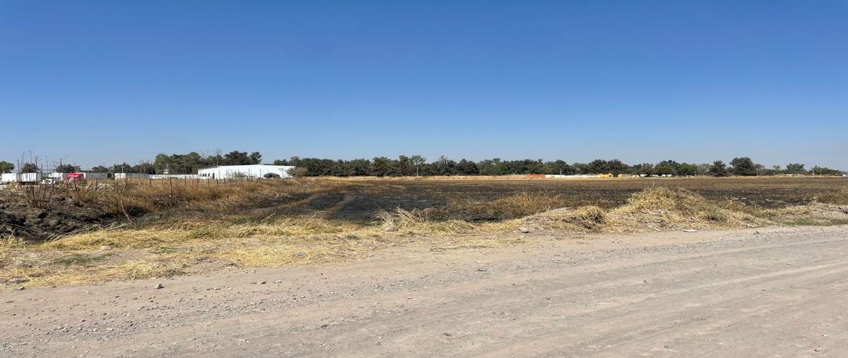 Foto de terreno habitacional en renta en  , el zapote del valle, tlajomulco de zúñiga, jalisco, 0 No. 05