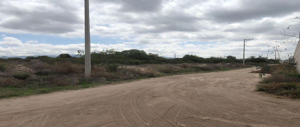 Foto de terreno habitacional en renta en  , el zapote, soledad de graciano sánchez, san luis potosí, 0 No. 03