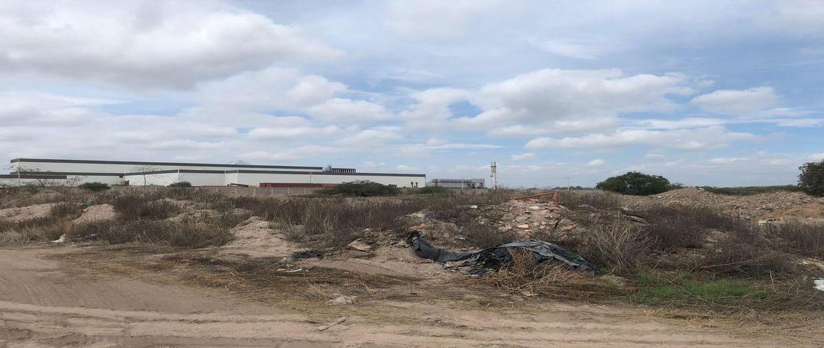 Foto de terreno habitacional en renta en  , el zapote, soledad de graciano sánchez, san luis potosí, 0 No. 05