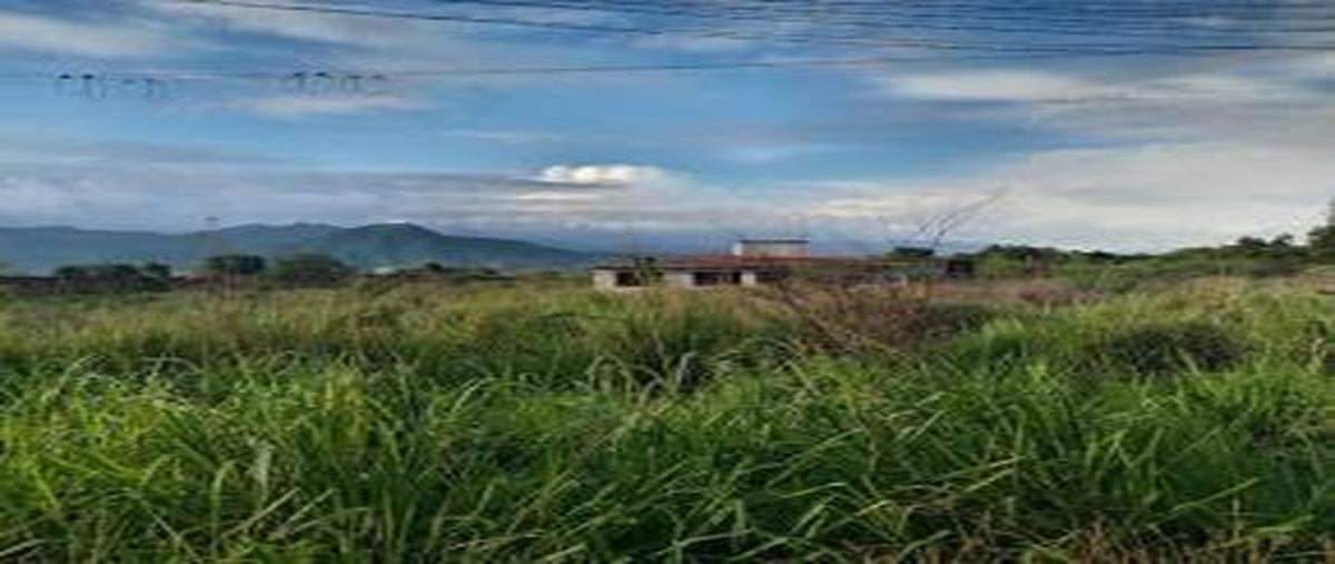 Foto de terreno habitacional en venta en  , el zarco, yautepec, morelos, 31402127 No. 04