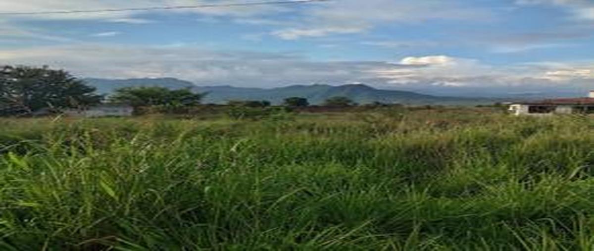 Foto de terreno habitacional en venta en  , el zarco, yautepec, morelos, 31402127 No. 05