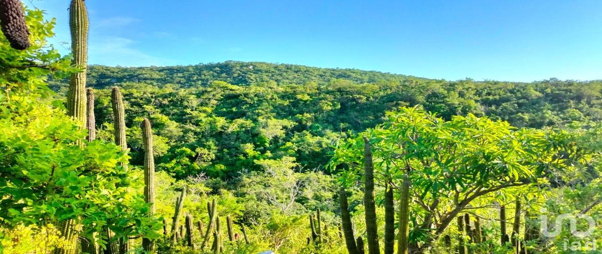 Foto de terreno habitacional en elias calles 133, zona ejidal, los cabos, baja california sur, 30725203 foto 01 Foto de terreno habitacional en venta en elias calles 133, zona ejidal, los cabos, baja california sur, 30725203 No. 01