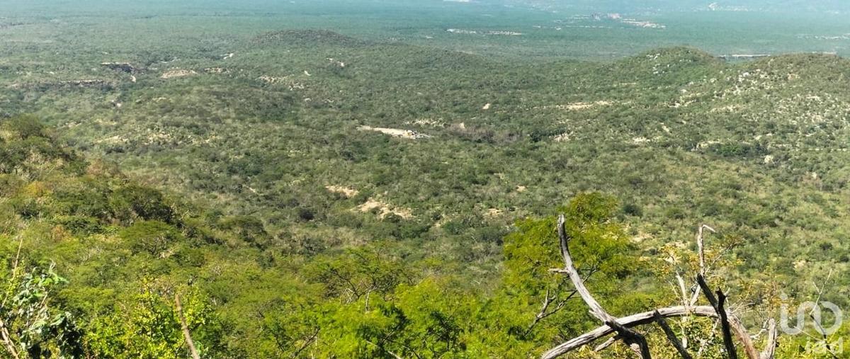 Foto de terreno habitacional en elias calles 133, zona ejidal, los cabos, baja california sur, 30725203 foto 02 Foto de terreno habitacional en venta en elias calles 133, zona ejidal, los cabos, baja california sur, 30725203 No. 02