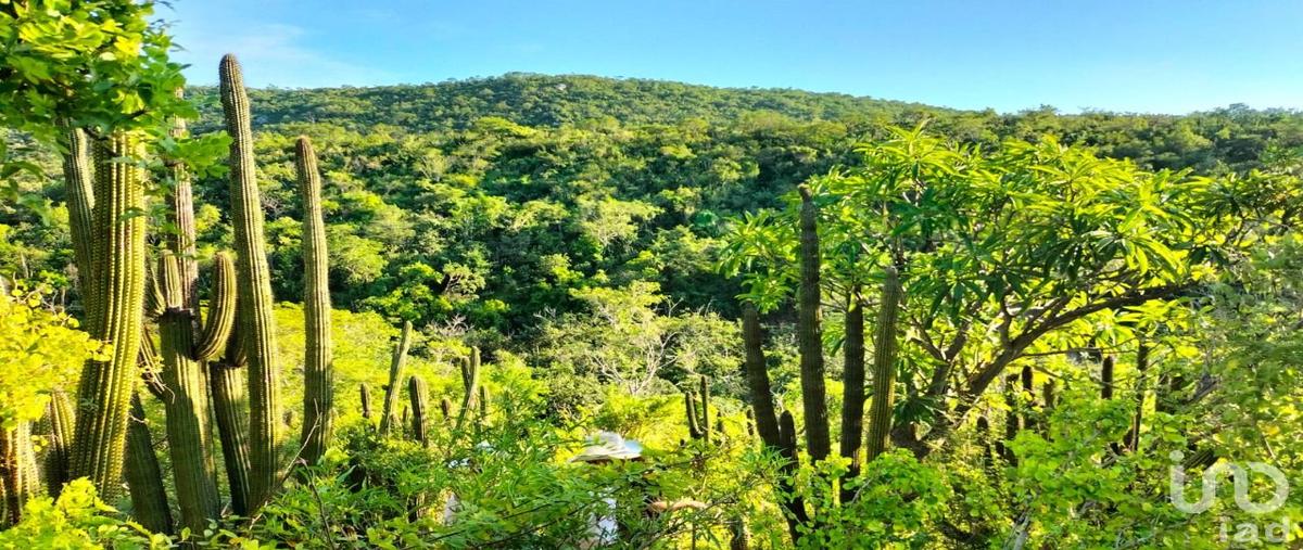 Foto de terreno habitacional en elias calles 133, zona ejidal, los cabos, baja california sur, 30725203 foto 04 Foto de terreno habitacional en venta en elias calles 133, zona ejidal, los cabos, baja california sur, 30725203 No. 04