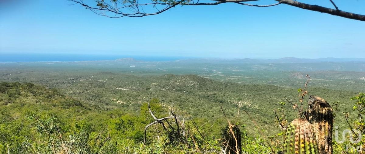 Foto de terreno habitacional en elias calles 133, zona ejidal, los cabos, baja california sur, 30725203 foto 05 Foto de terreno habitacional en venta en elias calles 133, zona ejidal, los cabos, baja california sur, 30725203 No. 05