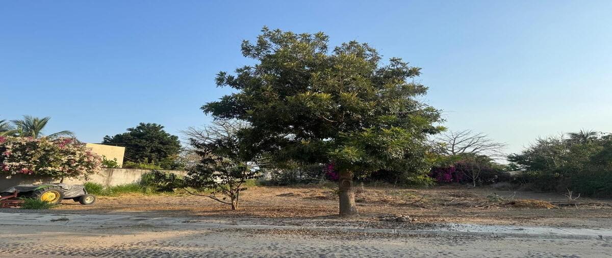 Foto de terreno habitacional en , elías zamora verduzco, manzanillo, colima, 27321597 foto 03 Foto de terreno habitacional en venta en , elías zamora verduzco, manzanillo, colima, 27321597 No. 03