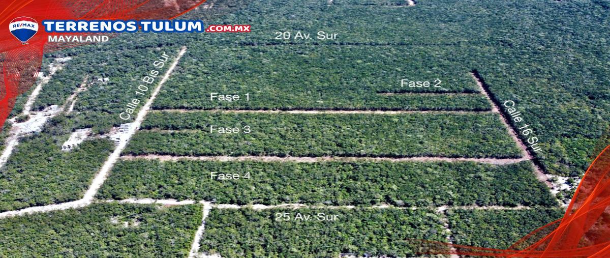 Foto de terreno habitacional en venta en elm 354 , tulum centro, tulum, quintana roo, 29712604 No. 05