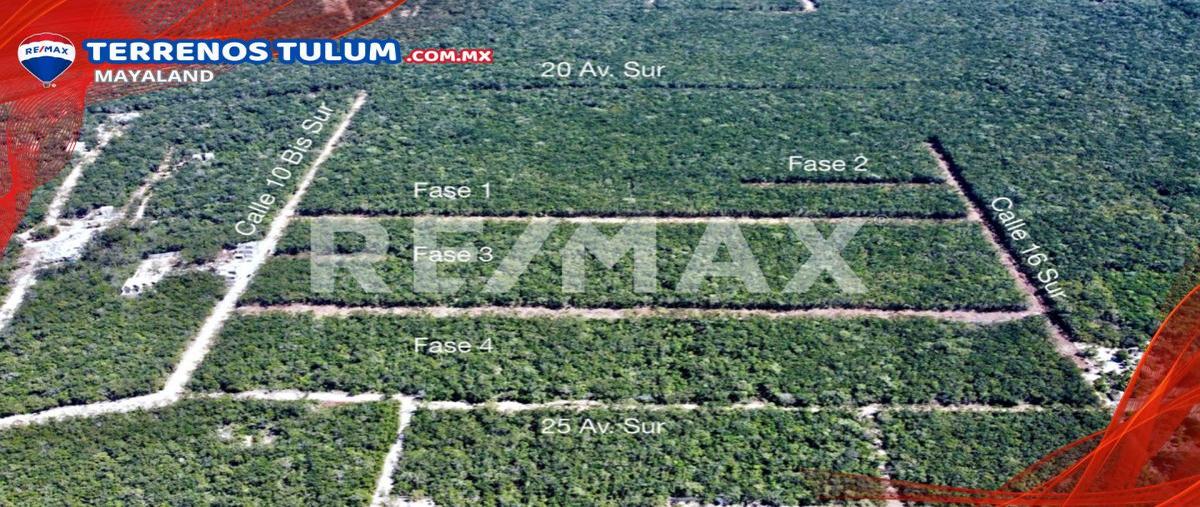 Foto de terreno habitacional en elm 410 , tulum centro, tulum, quintana roo, 29712605 foto 05 Foto de terreno habitacional en venta en elm 410 , tulum centro, tulum, quintana roo, 29712605 No. 05