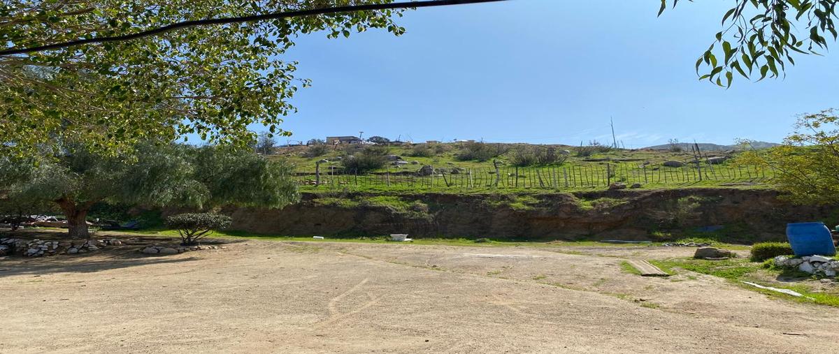 Foto de rancho en emiliano zap , granjas familiares unidas, tijuana, baja california, 29521144 foto 05 Foto de rancho en venta en emiliano zap , granjas familiares unidas, tijuana, baja california, 29521144 No. 05
