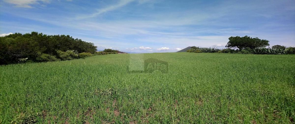 Foto de terreno habitacional en venta en emiliano zapata 12, santo tomás, zempoala, hidalgo, 6037857 No. 01