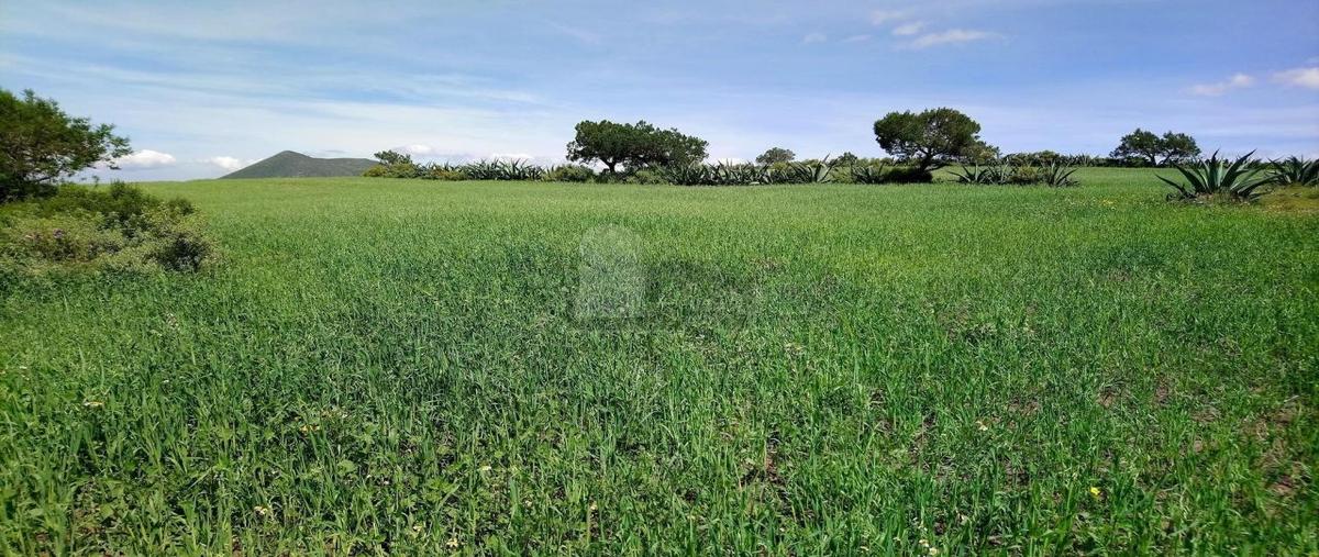 Foto de terreno habitacional en venta en emiliano zapata 12, santo tomás, zempoala, hidalgo, 6037857 No. 03