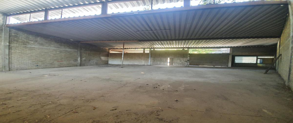 Foto de bodega en venta en  , emiliano zapata, acapulco de juárez, guerrero, 24700466 No. 05
