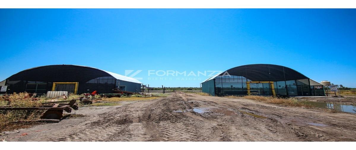Foto de rancho en venta en  , emiliano zapata, armería, colima, 0 No. 04