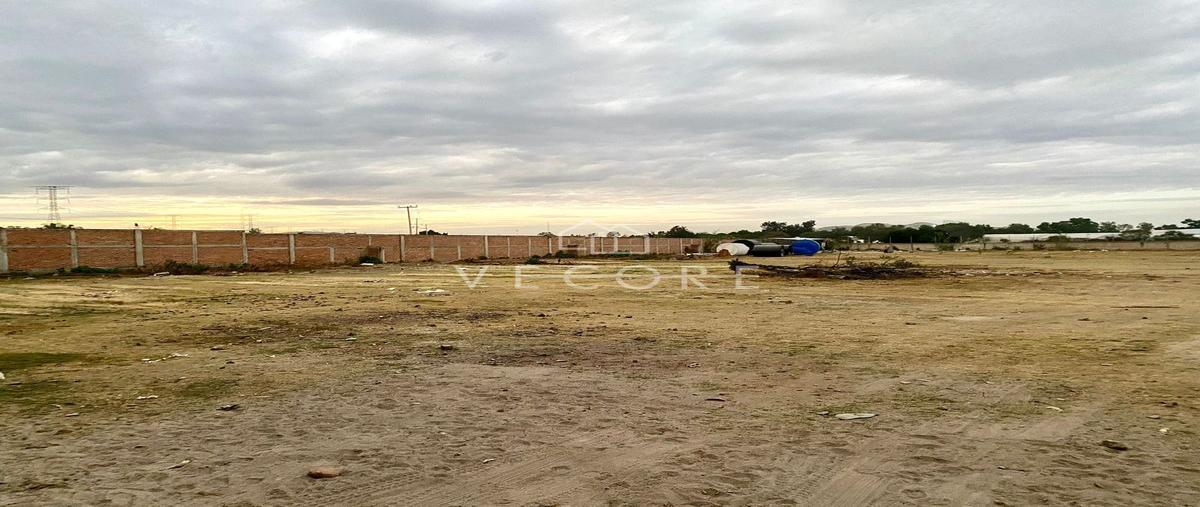 Foto de terreno habitacional en renta en emiliano zapata , áurea residencial, san pedro tlaquepaque, jalisco, 23820291 No. 04