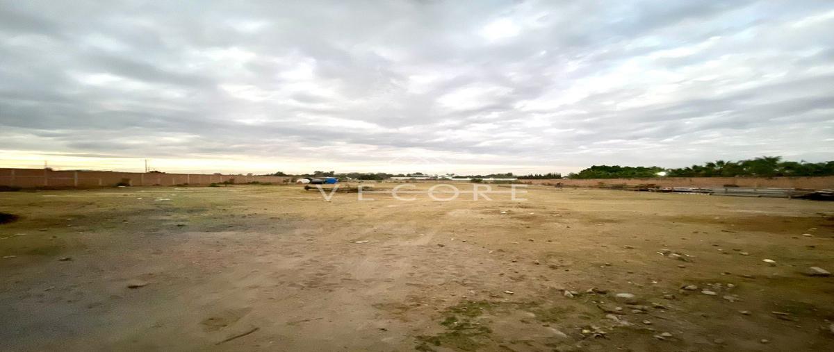 Foto de terreno habitacional en renta en emiliano zapata , áurea residencial, san pedro tlaquepaque, jalisco, 23820291 No. 05