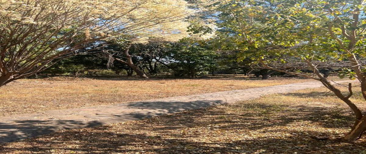 Foto de terreno habitacional en venta en emiliano zapata , brisas de cuautla, cuautla, morelos, 0 No. 05