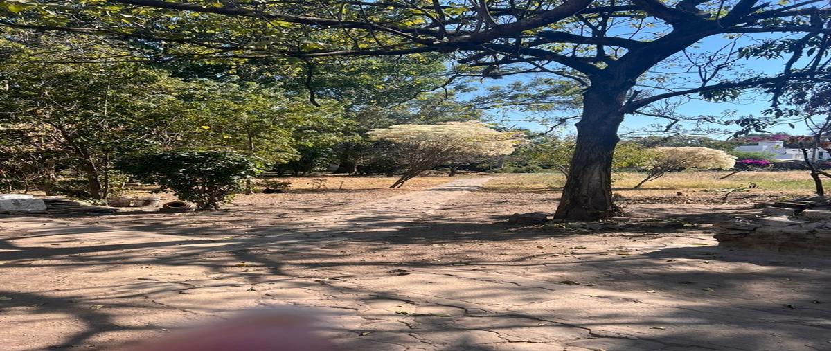 Foto de terreno habitacional en venta en emiliano zapata , brisas de cuautla, cuautla, morelos, 28553824 No. 05