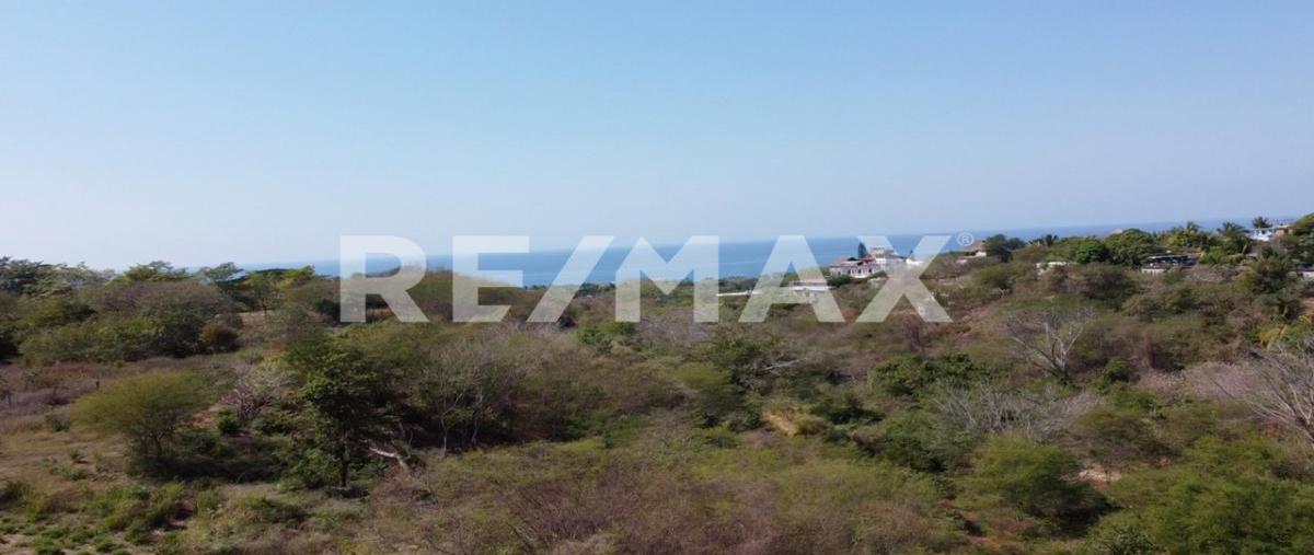 Foto de terreno habitacional en venta en emiliano zapata , brisas de zicatela, santa maría colotepec, oaxaca, 0 No. 04