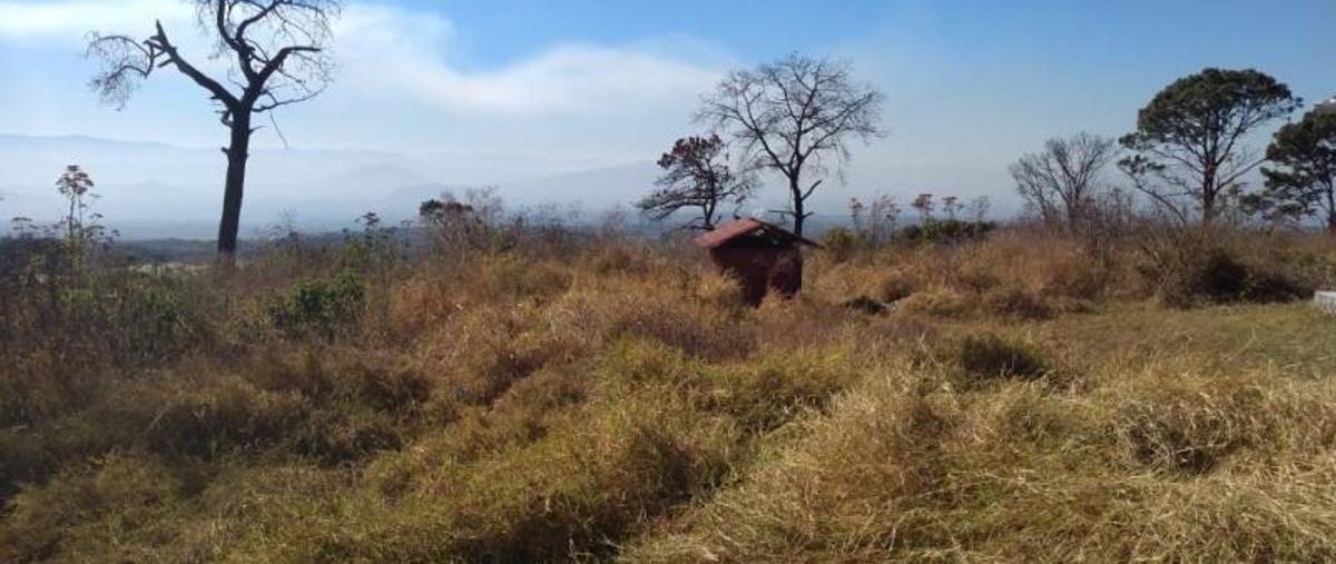Foto de terreno comercial en venta en  , alcaraces, cuauhtémoc, colima, 8811007 No. 01