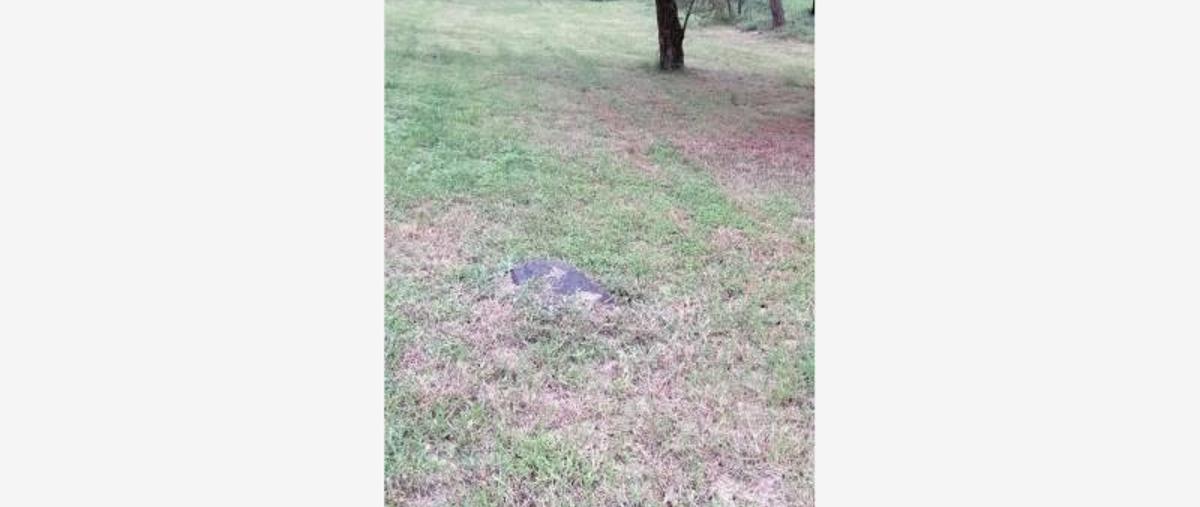 Foto de rancho en , los monos, cuauhtémoc, colima, 8819145 foto 01 Foto de rancho en venta en , los monos, cuauhtémoc, colima, 8819145 No. 01