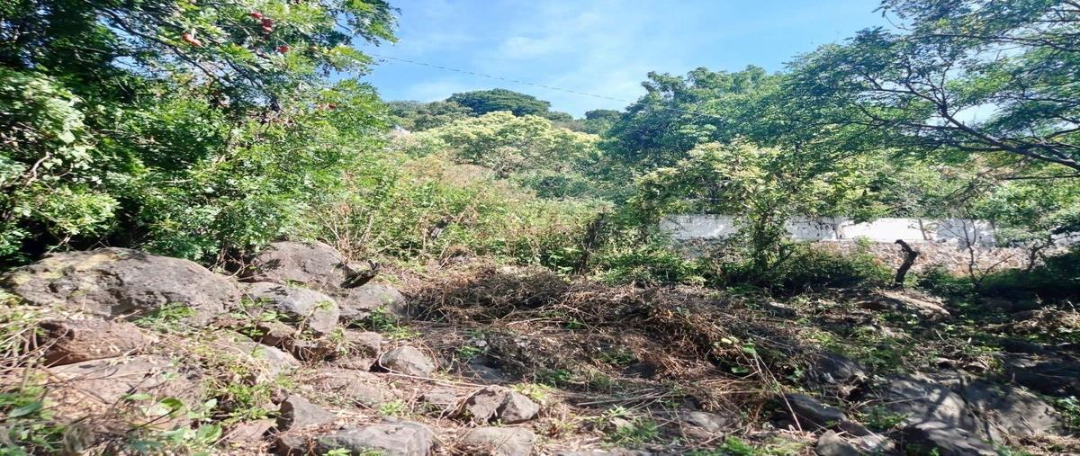 Foto de terreno habitacional en venta en emiliano zapata , del carmen, tepoztlán, morelos, 23960576 No. 05