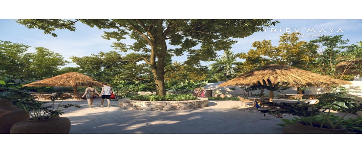 Foto de terreno habitacional en venta en  , emiliano zapata, dzidzantún, yucatán, 25946009 No. 03