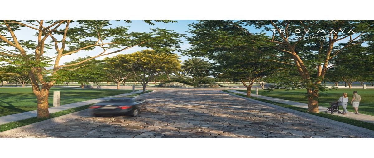 Foto de terreno habitacional en venta en  , emiliano zapata, dzidzantún, yucatán, 25946009 No. 05