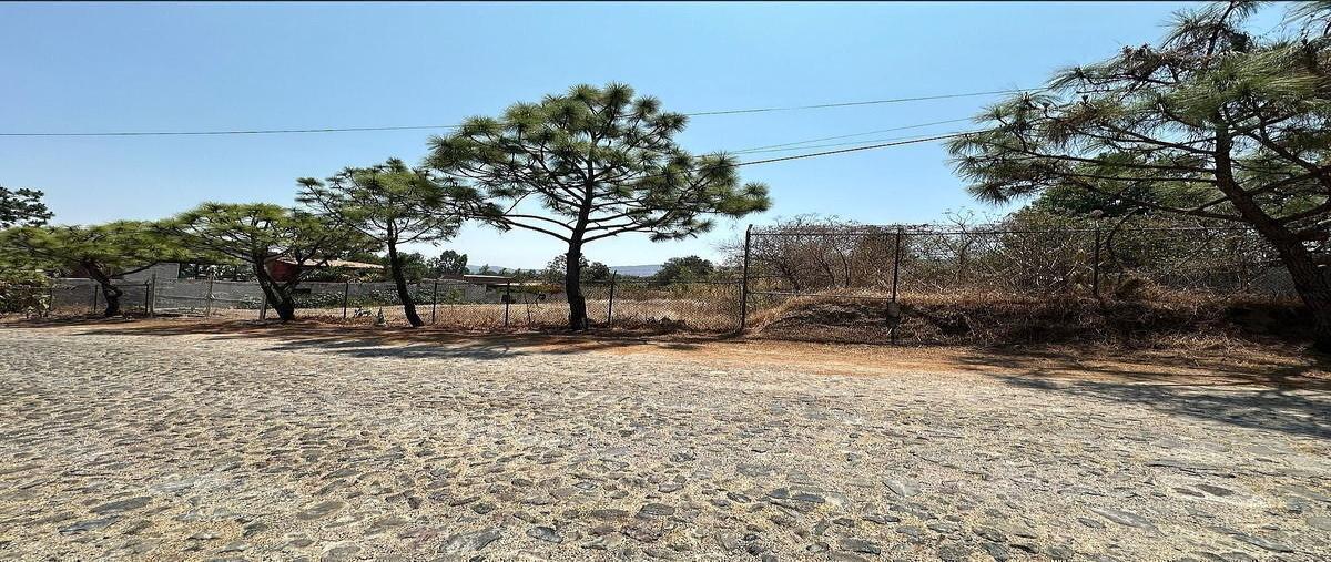 Foto de terreno habitacional en venta en emiliano zapata , el arenal, el arenal, jalisco, 0 No. 03