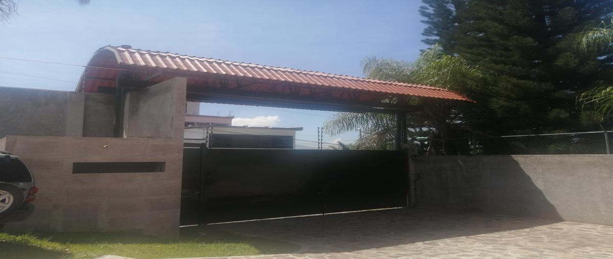 Foto de departamento en renta en  , emiliano zapata, emiliano zapata, morelos, 30211724 No. 05