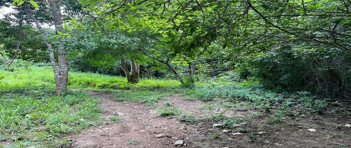 Foto de rancho en venta en emiliano zapata , emiliano zapata, tuxtla gutiérrez, chiapas, 31074625 No. 04