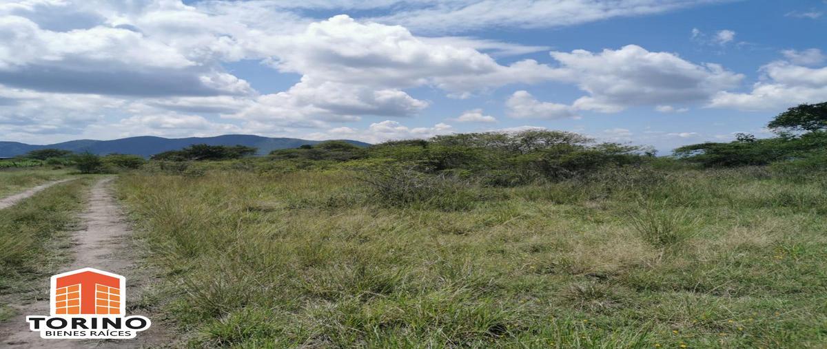 Foto de terreno habitacional en venta en  , emiliano zapata, emiliano zapata, veracruz de ignacio de la llave, 11299661 No. 03