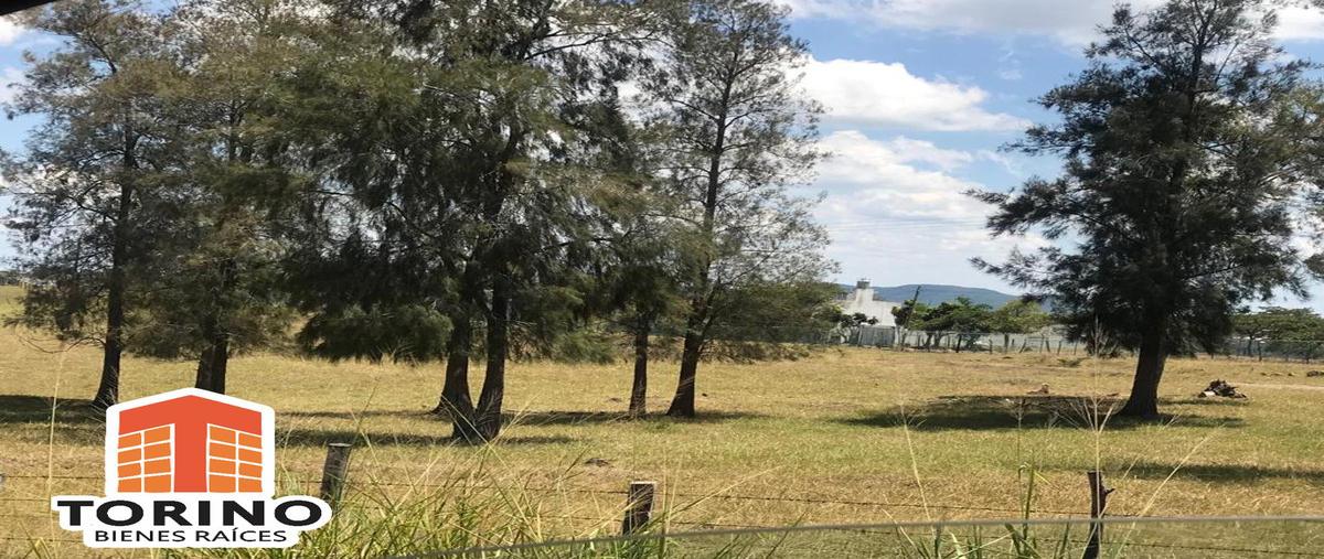 Foto de terreno habitacional en venta en  , emiliano zapata, emiliano zapata, veracruz de ignacio de la llave, 11299665 No. 02