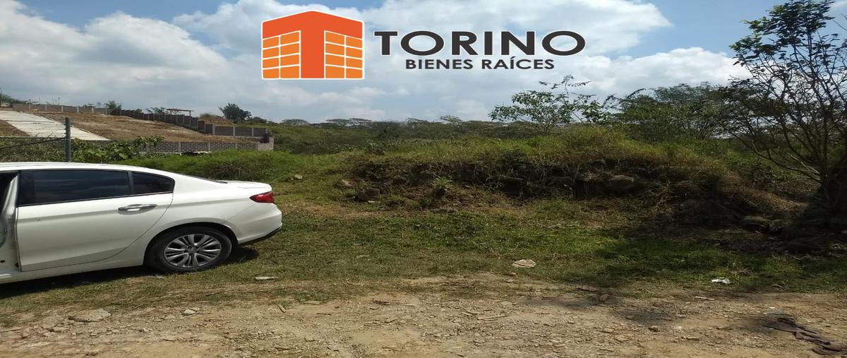 Foto de terreno habitacional en venta en  , emiliano zapata, emiliano zapata, veracruz de ignacio de la llave, 11299693 No. 04