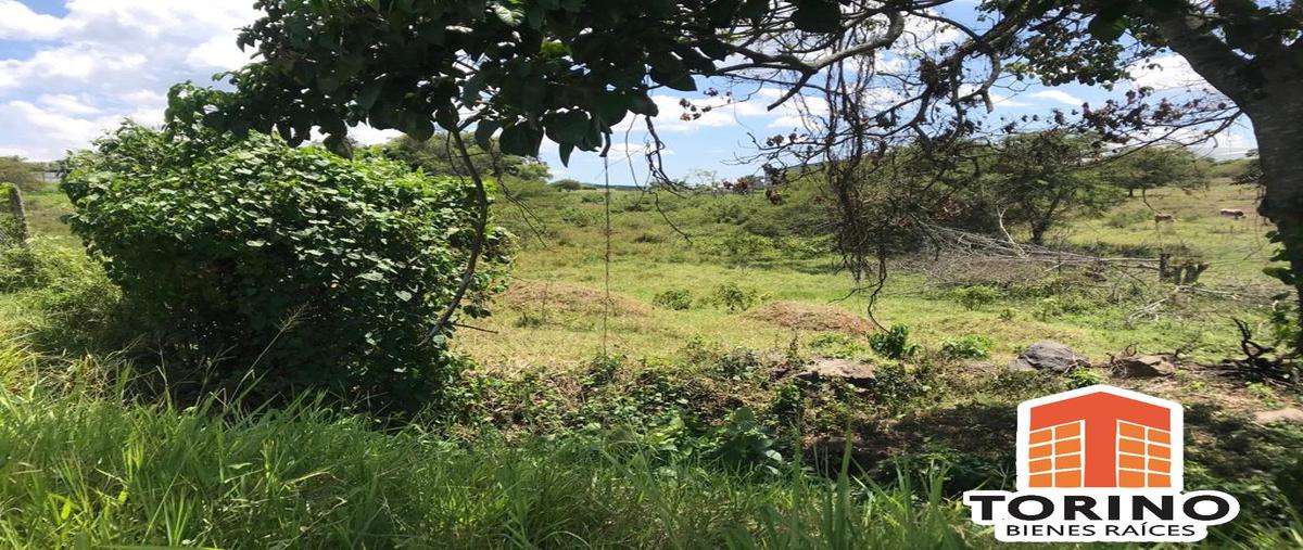 Foto de terreno habitacional en venta en  , emiliano zapata, emiliano zapata, veracruz de ignacio de la llave, 11299697 No. 03