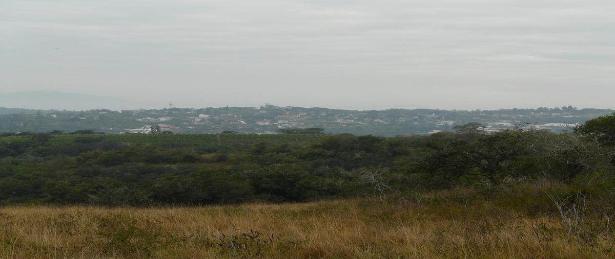 Foto de terreno habitacional en venta en  , emiliano zapata, emiliano zapata, veracruz de ignacio de la llave, 0 No. 03